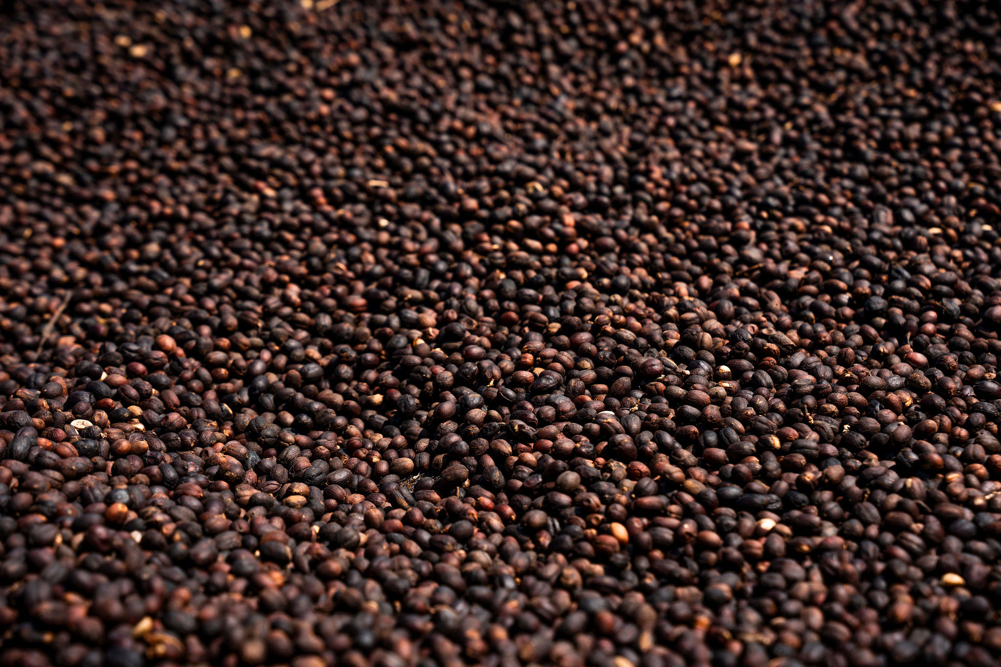 Life at YEET COFFEE washing stations in Karongi