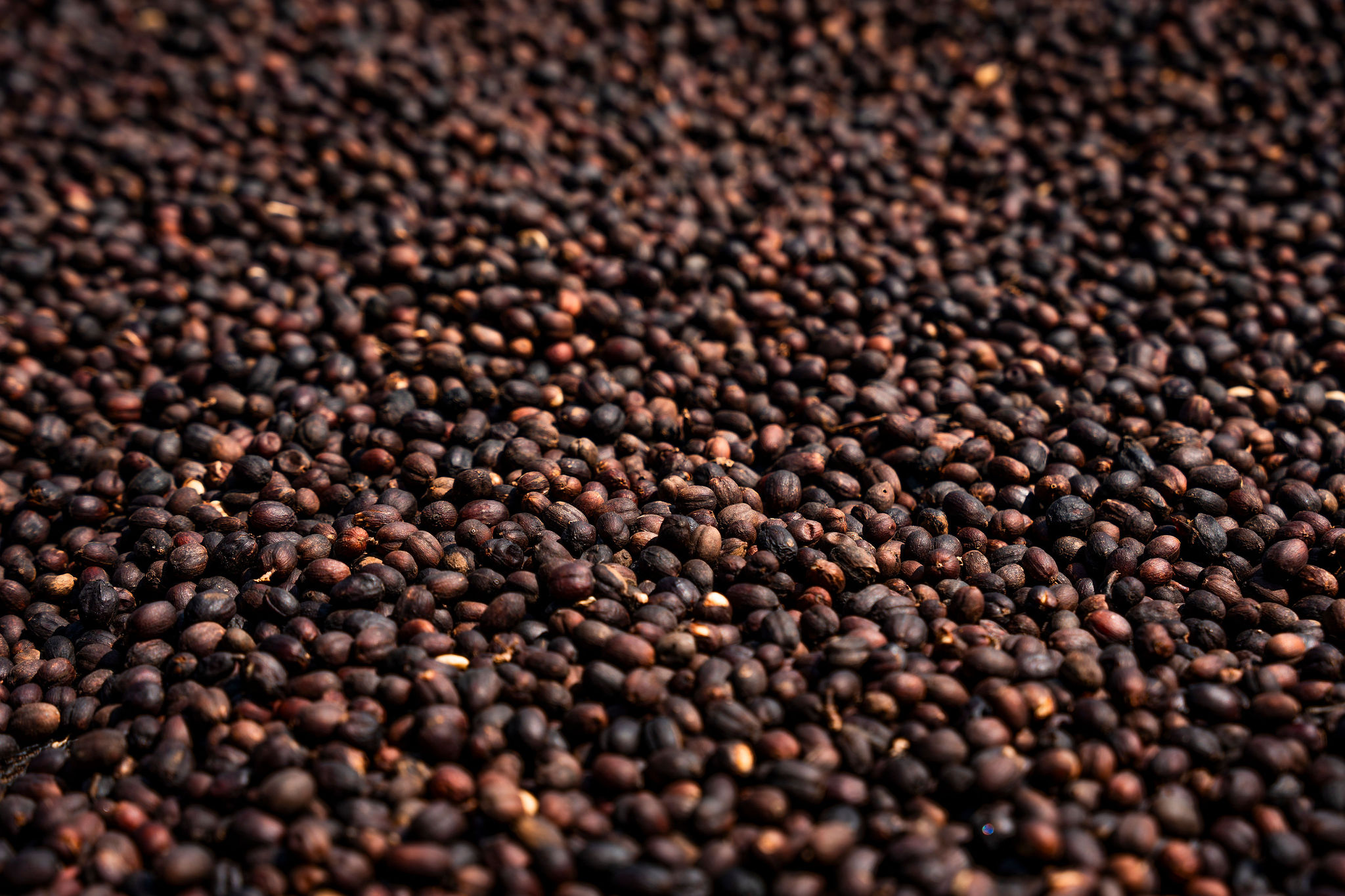 Life at YEET COFFEE washing stations in Karongi