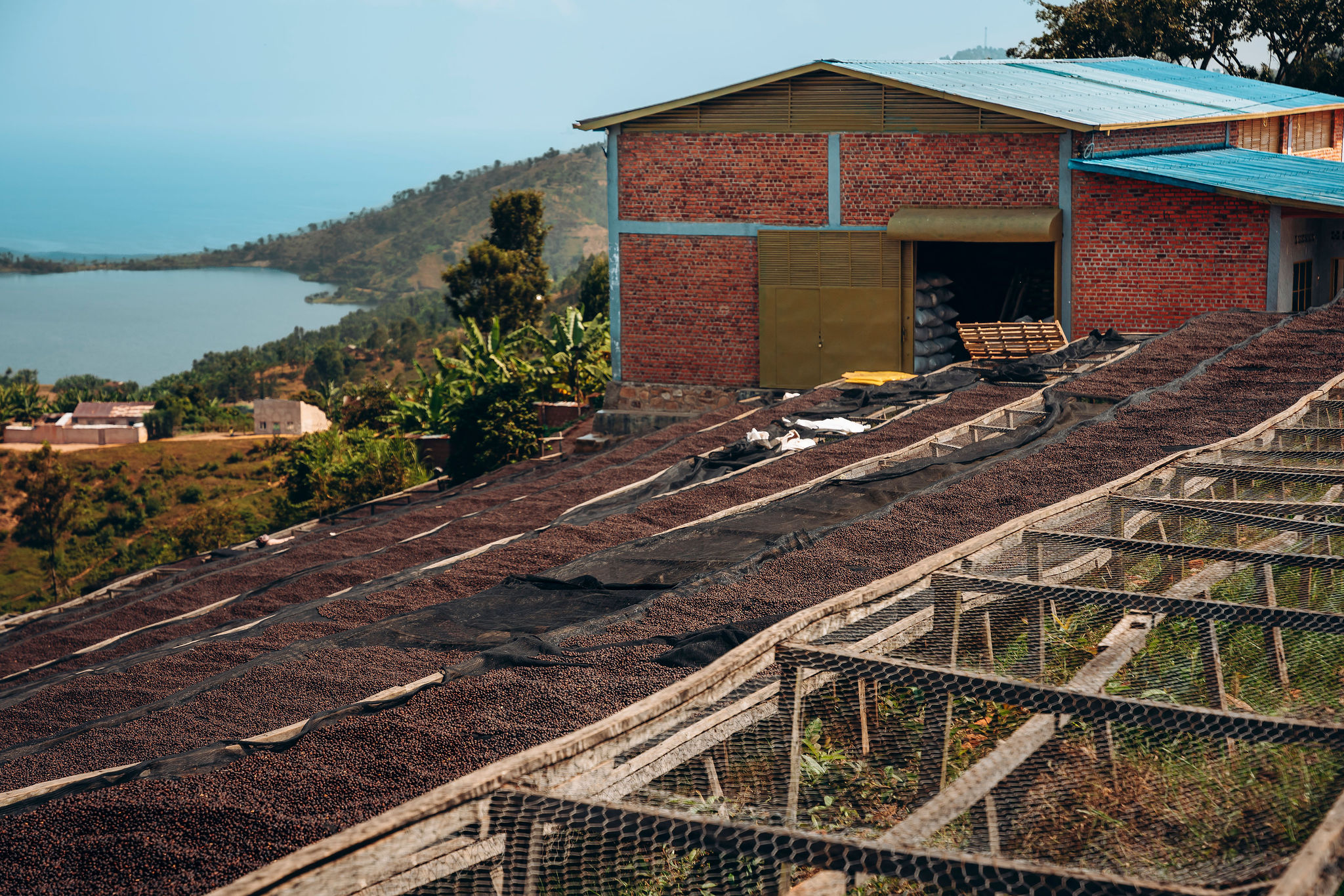 Life at YEET COFFEE washing stations in Karongi