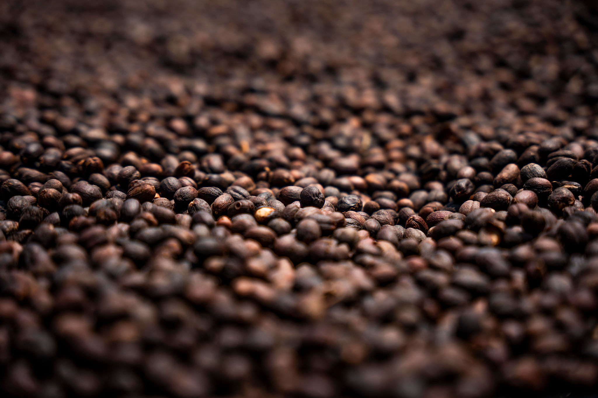 Life at YEET COFFEE washing stations in Karongi