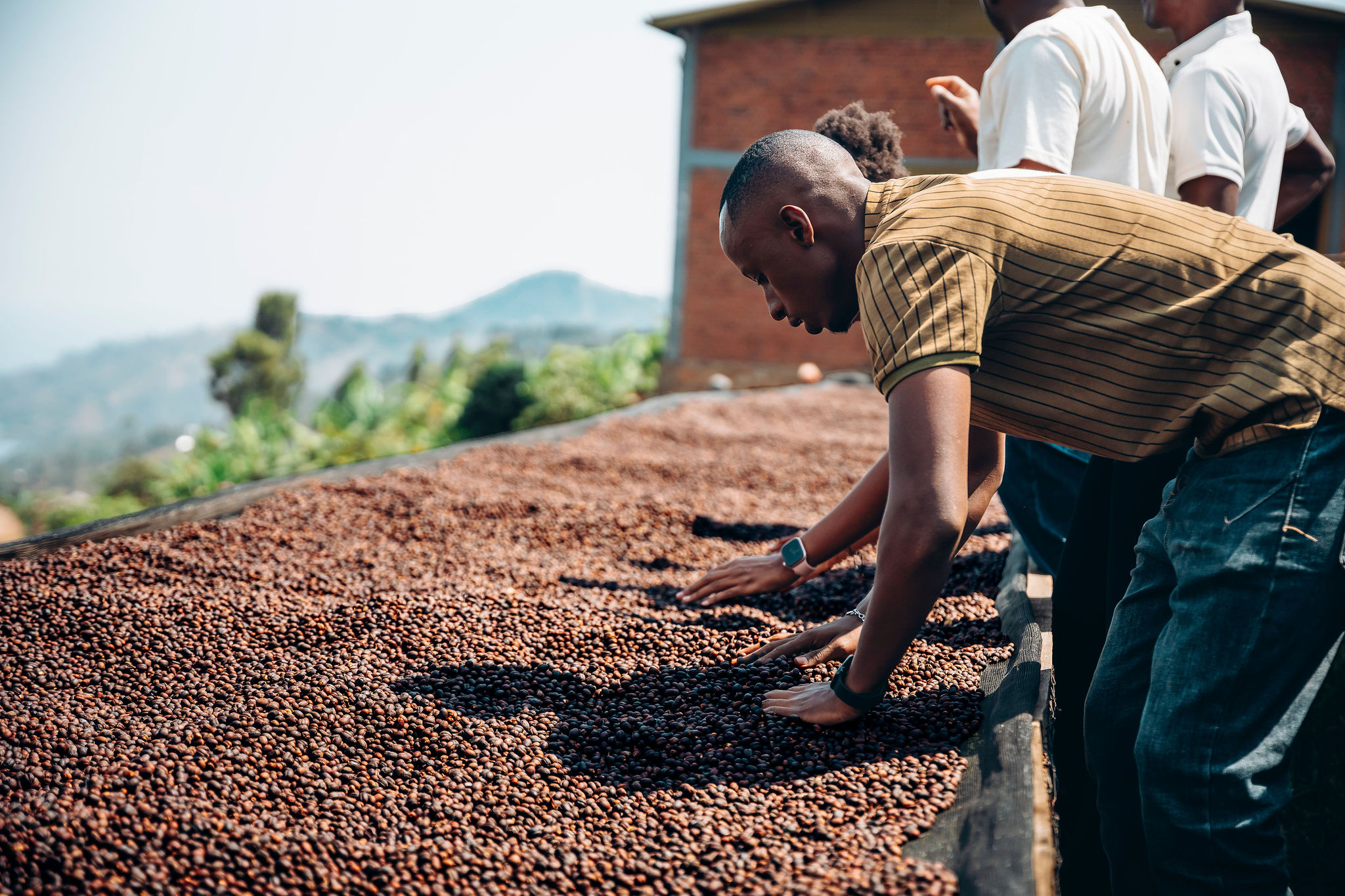 Life at YEET COFFEE washing stations in Karongi