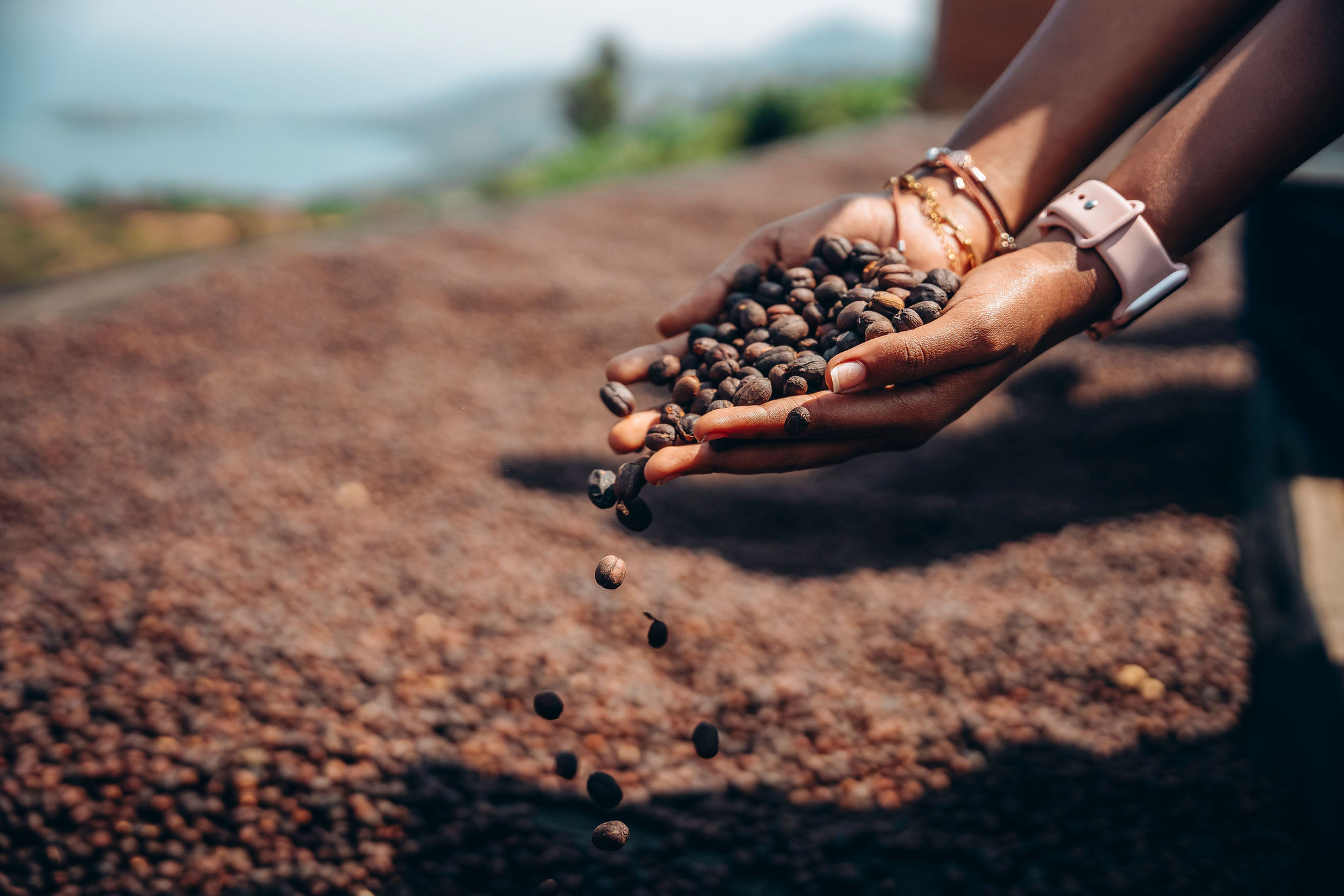 Life at YEET COFFEE washing stations in Karongi
