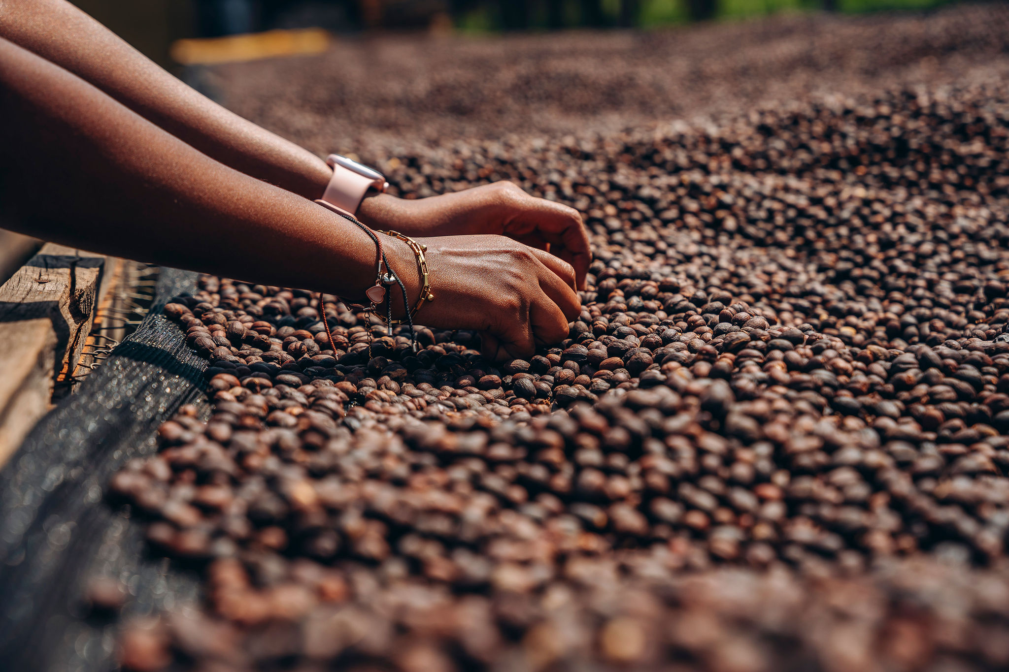 Life at YEET COFFEE washing stations in Karongi