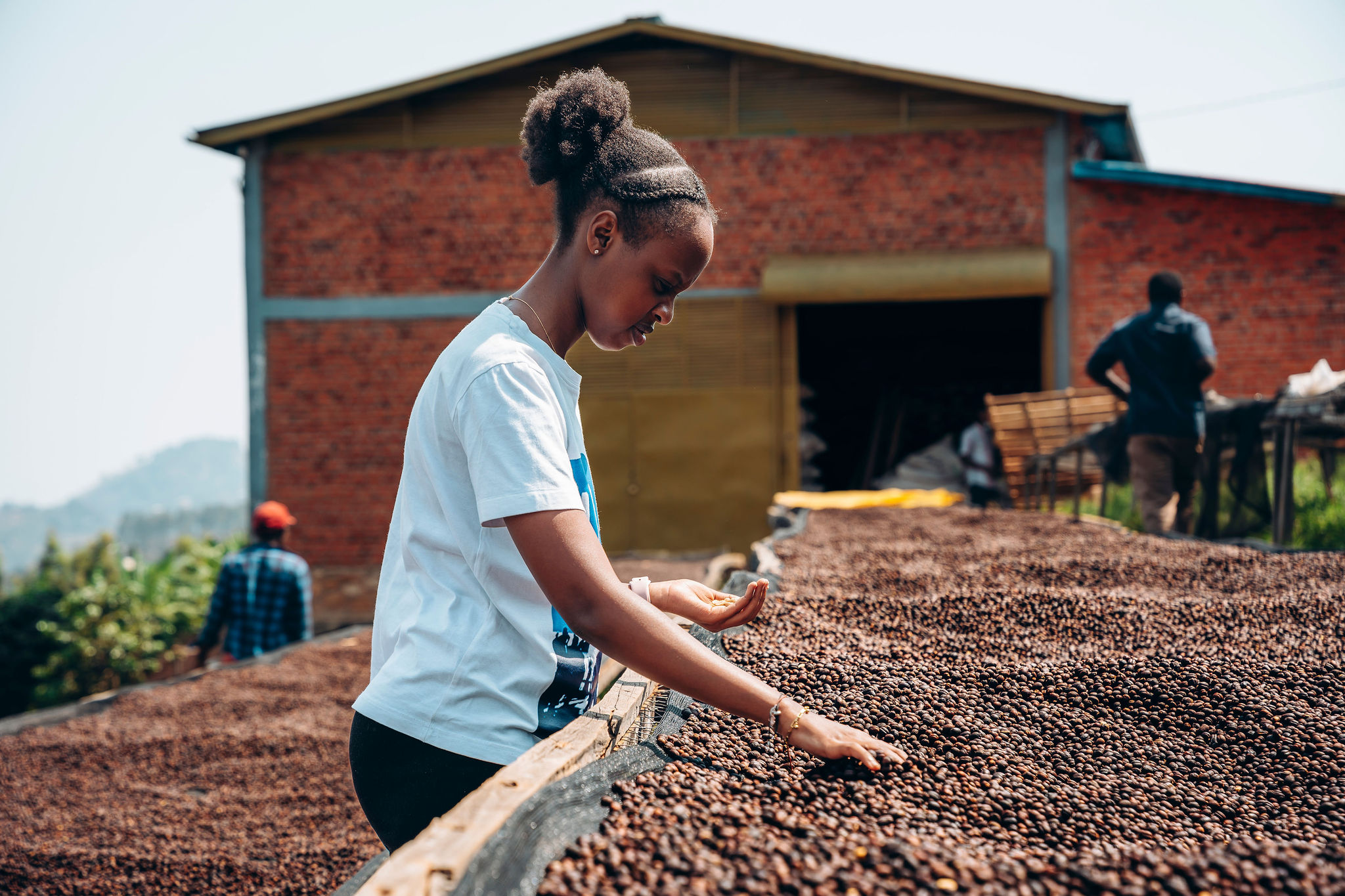 Life at YEET COFFEE washing stations in Karongi