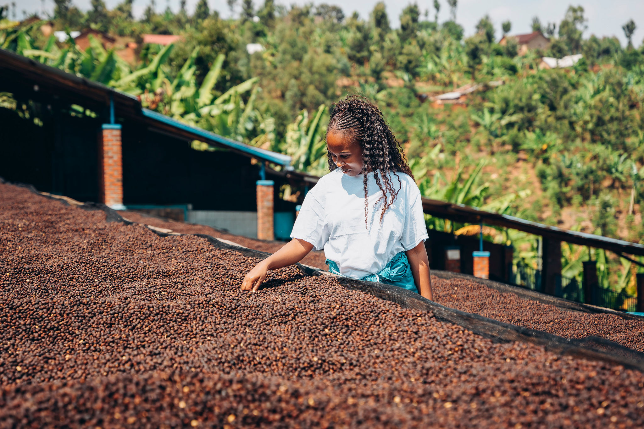 Life at YEET COFFEE washing stations in Karongi
