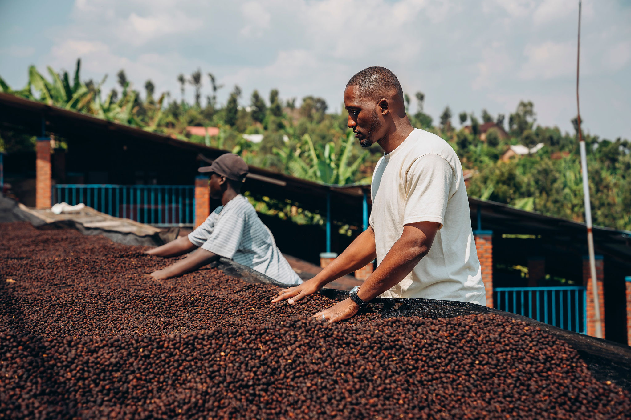 Life at YEET COFFEE washing stations in Karongi