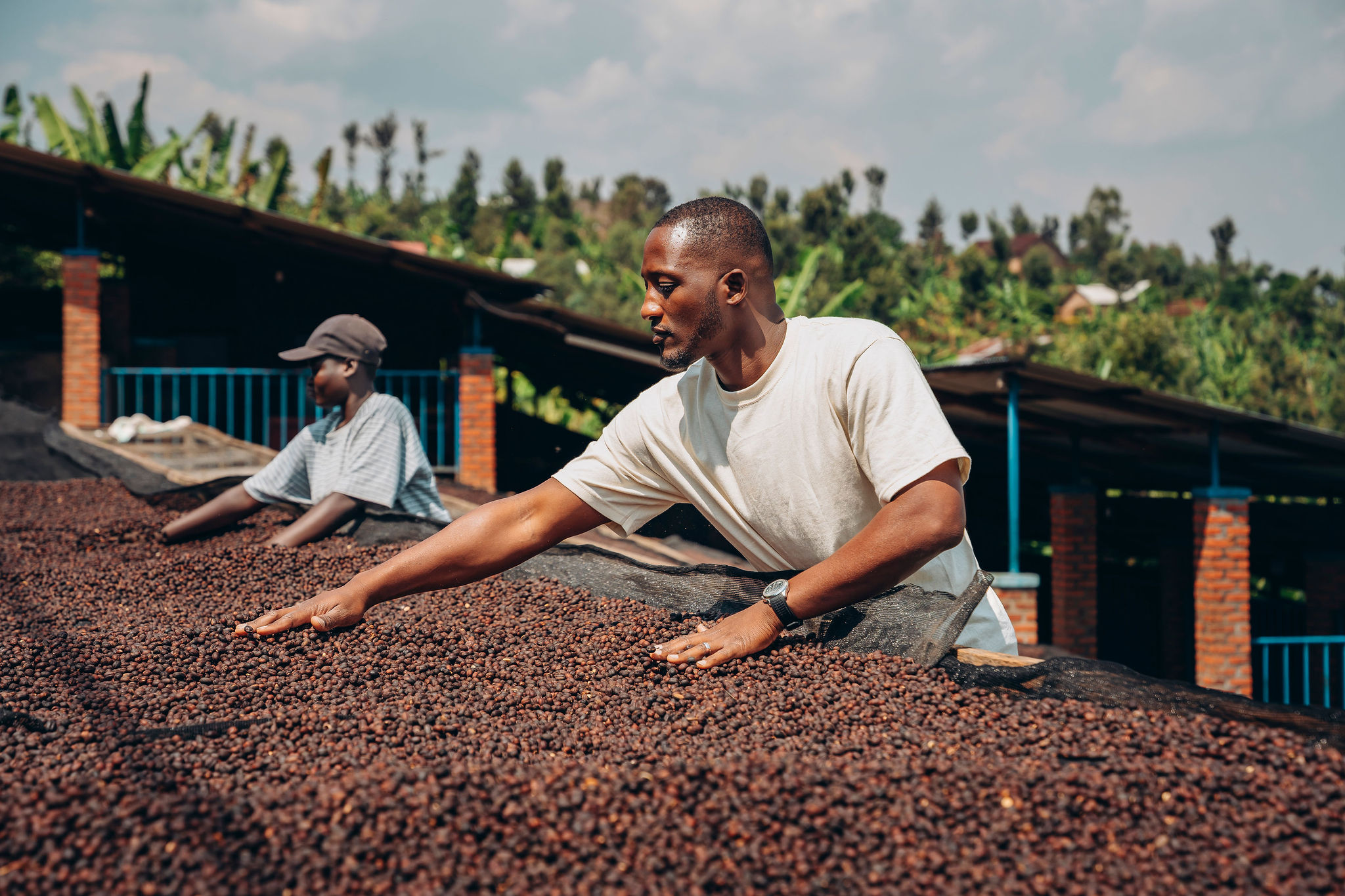Life at YEET COFFEE washing stations in Karongi