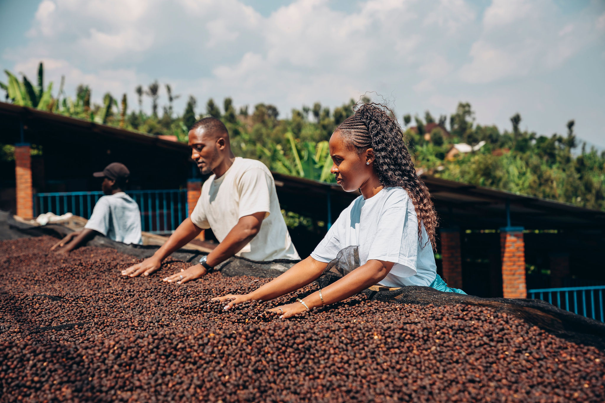 Life at YEET COFFEE washing stations in Karongi