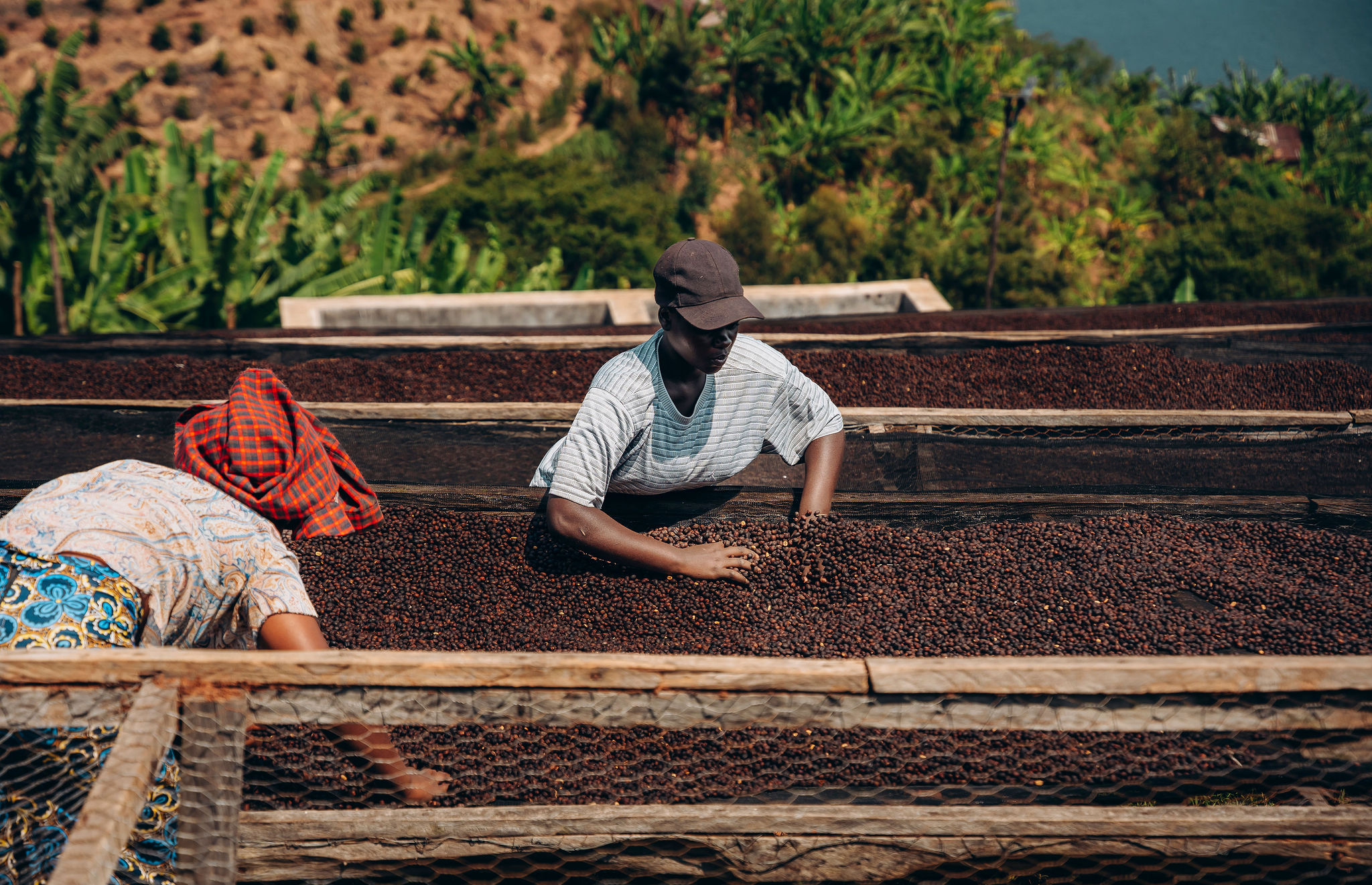 Life at YEET COFFEE washing stations in Karongi