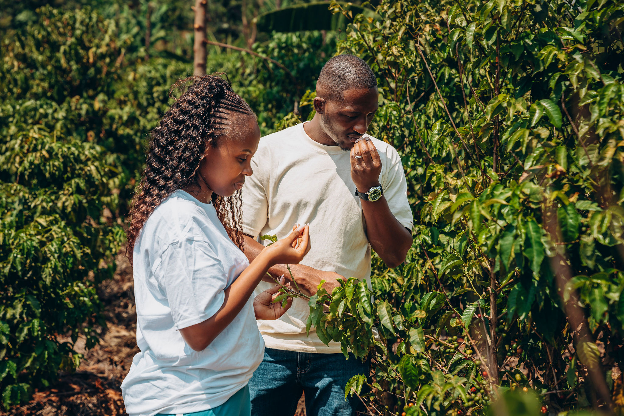 Life at YEET COFFEE washing stations in Karongi