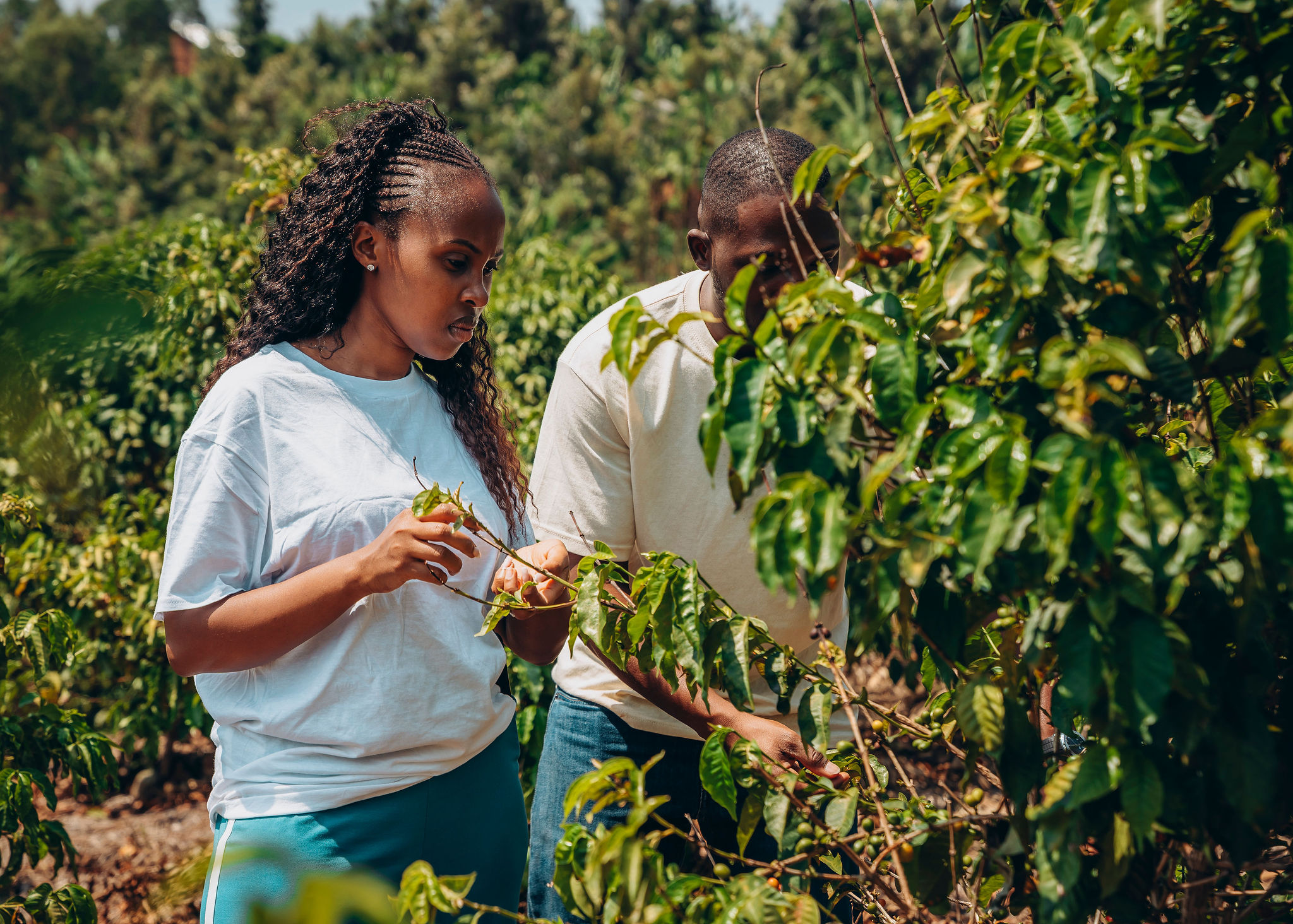 Life at YEET COFFEE washing stations in Karongi