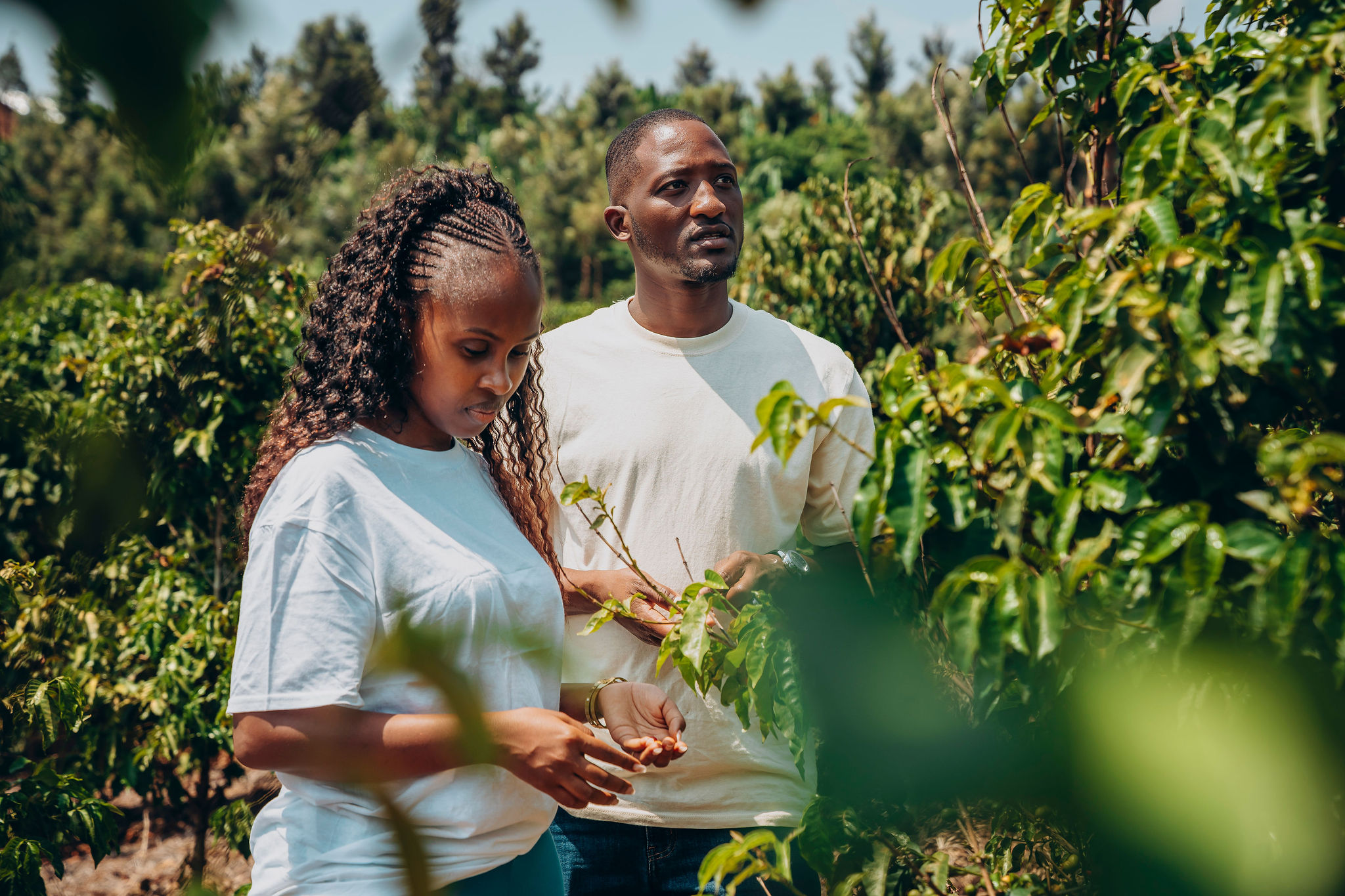 Life at YEET COFFEE washing stations in Karongi