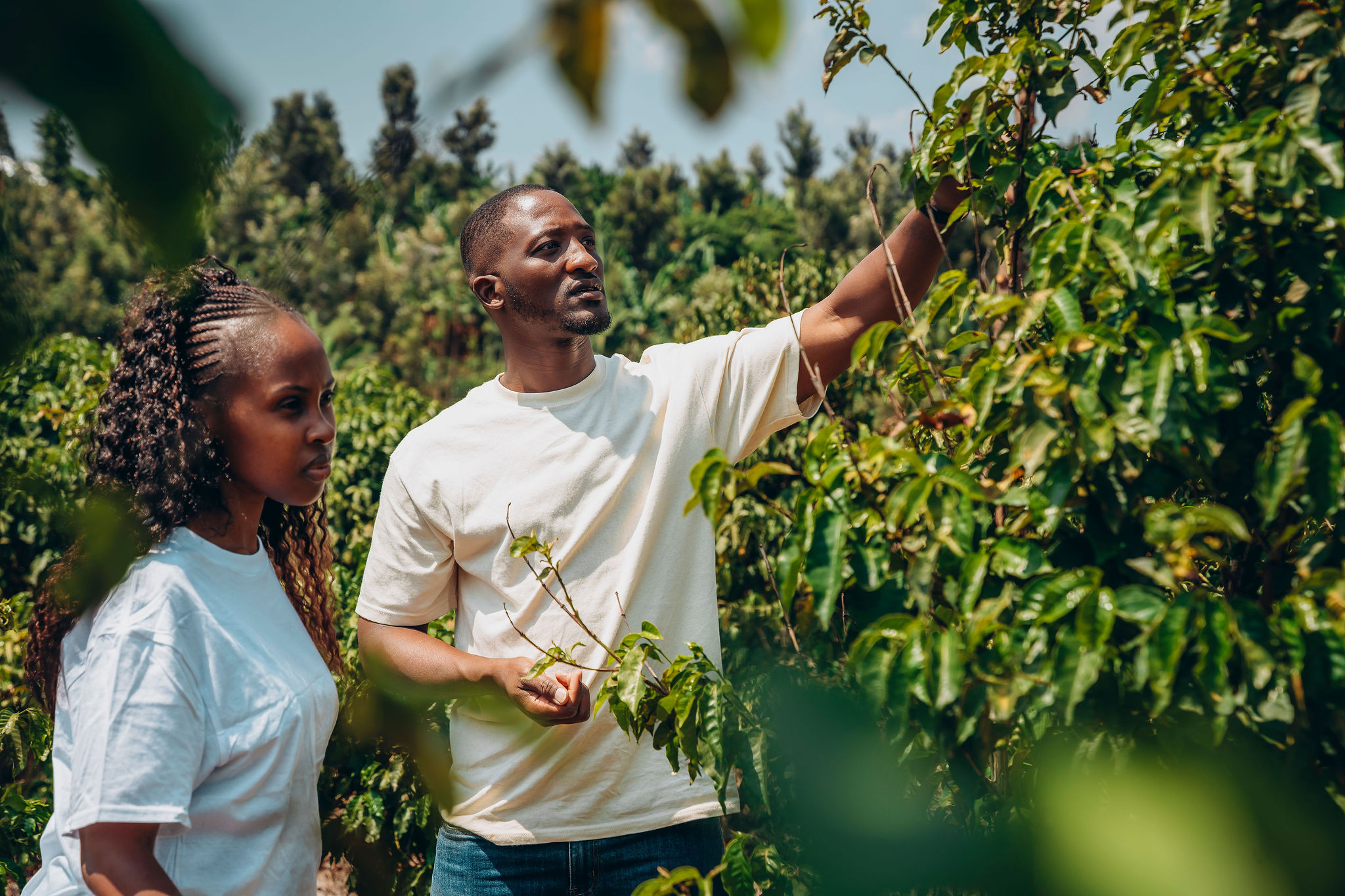 Life at YEET COFFEE washing stations in Karongi