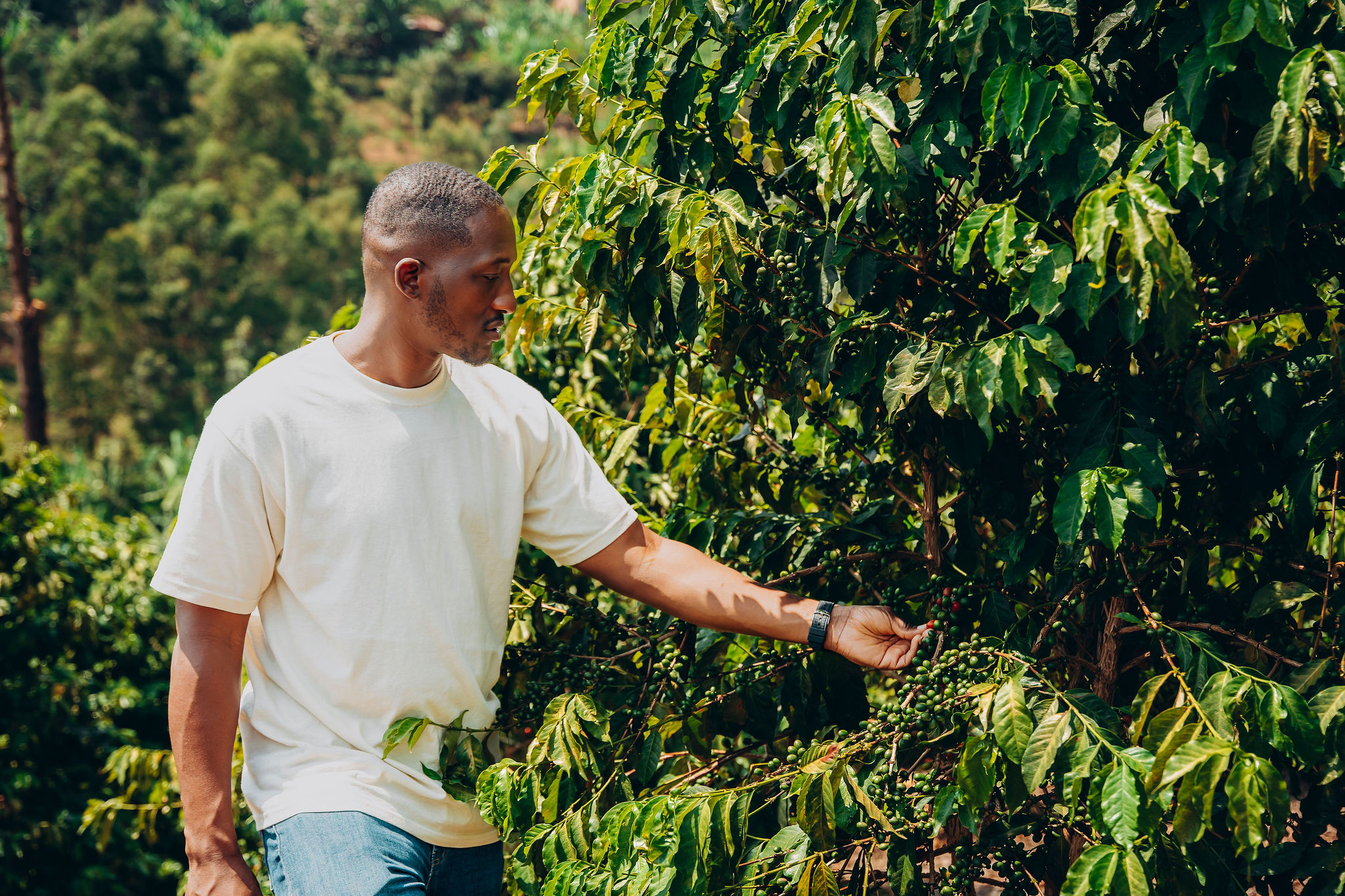 Life at YEET COFFEE washing stations in Karongi