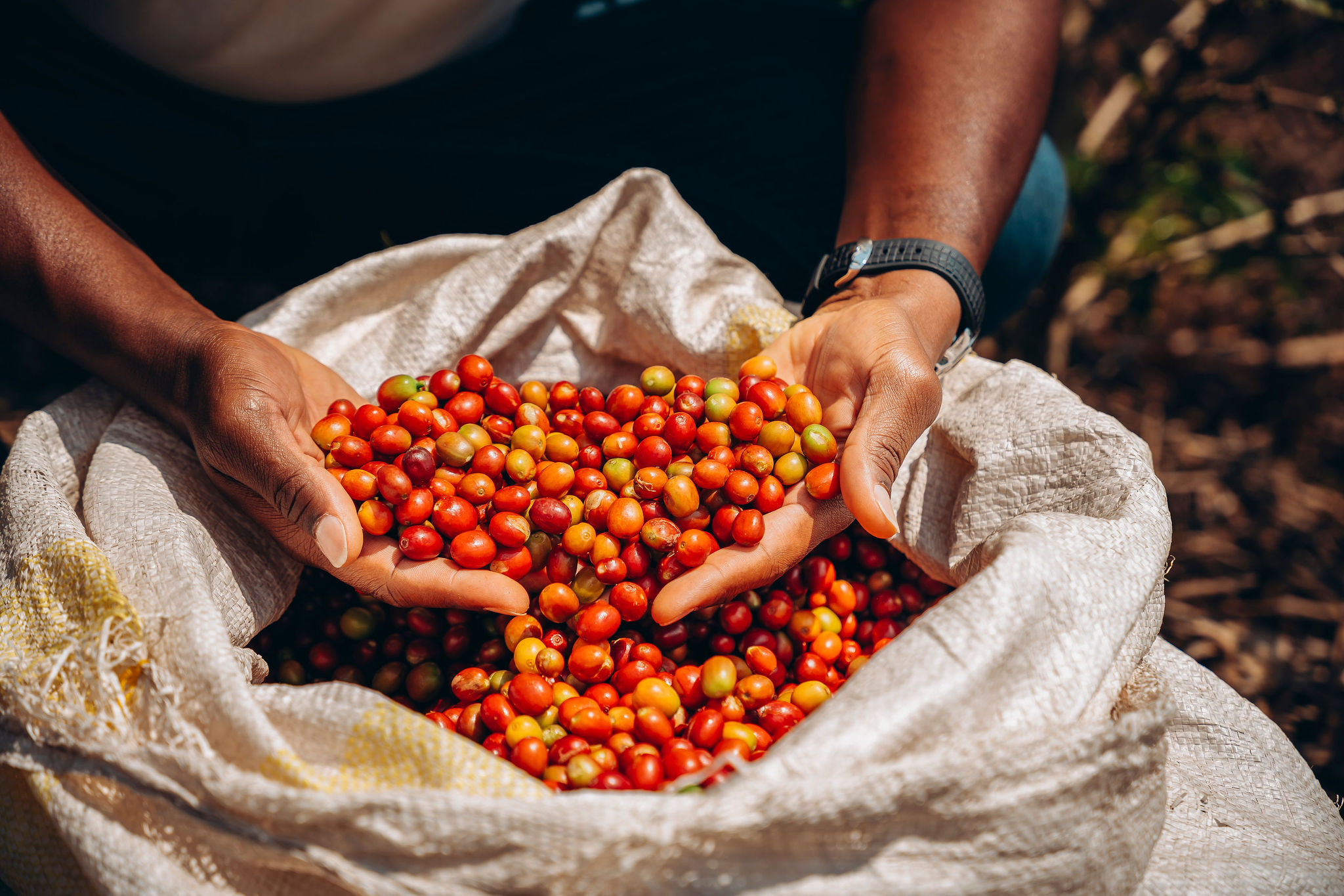 Life at YEET COFFEE washing stations in Karongi