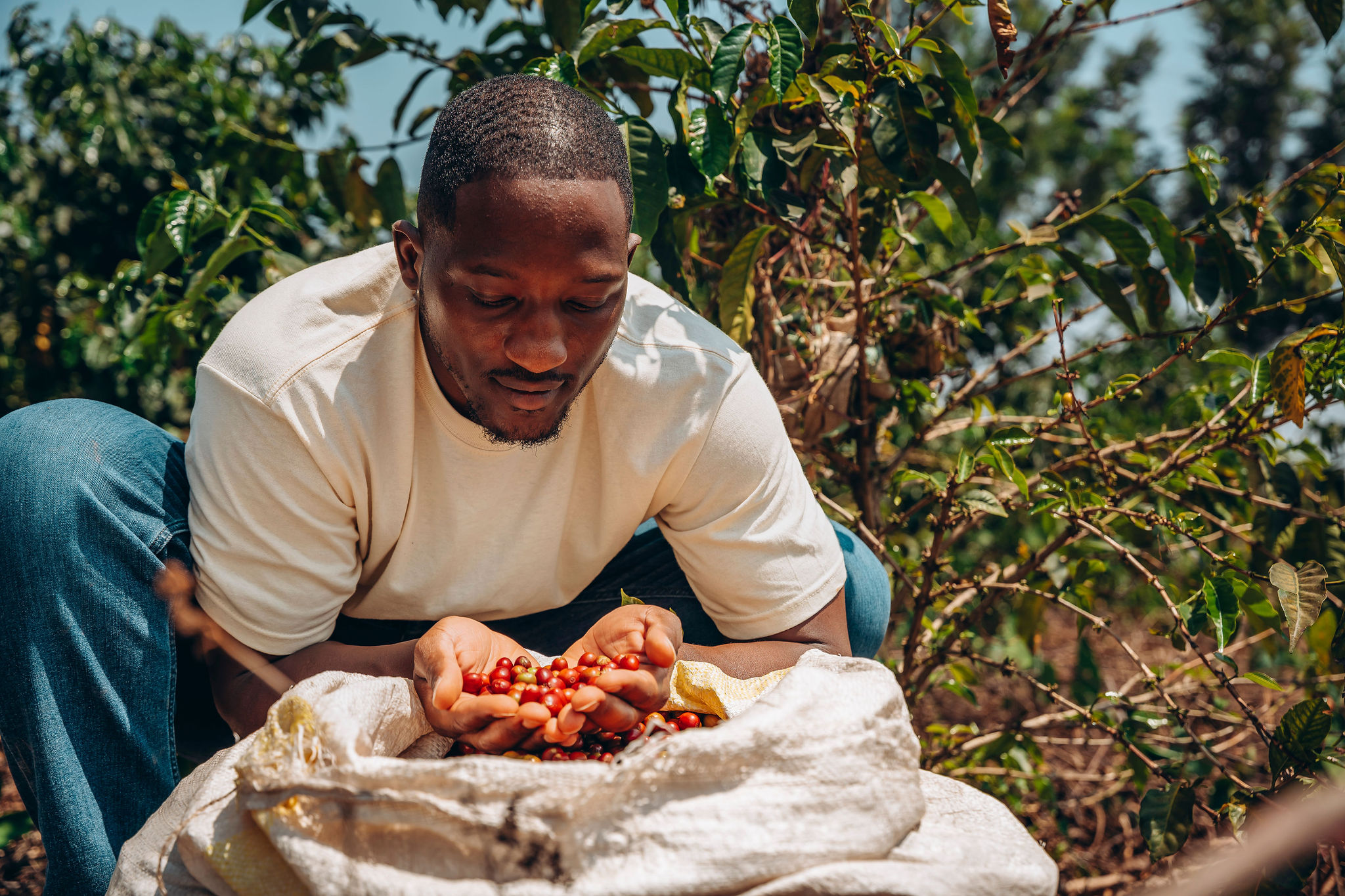 Life at YEET COFFEE washing stations in Karongi