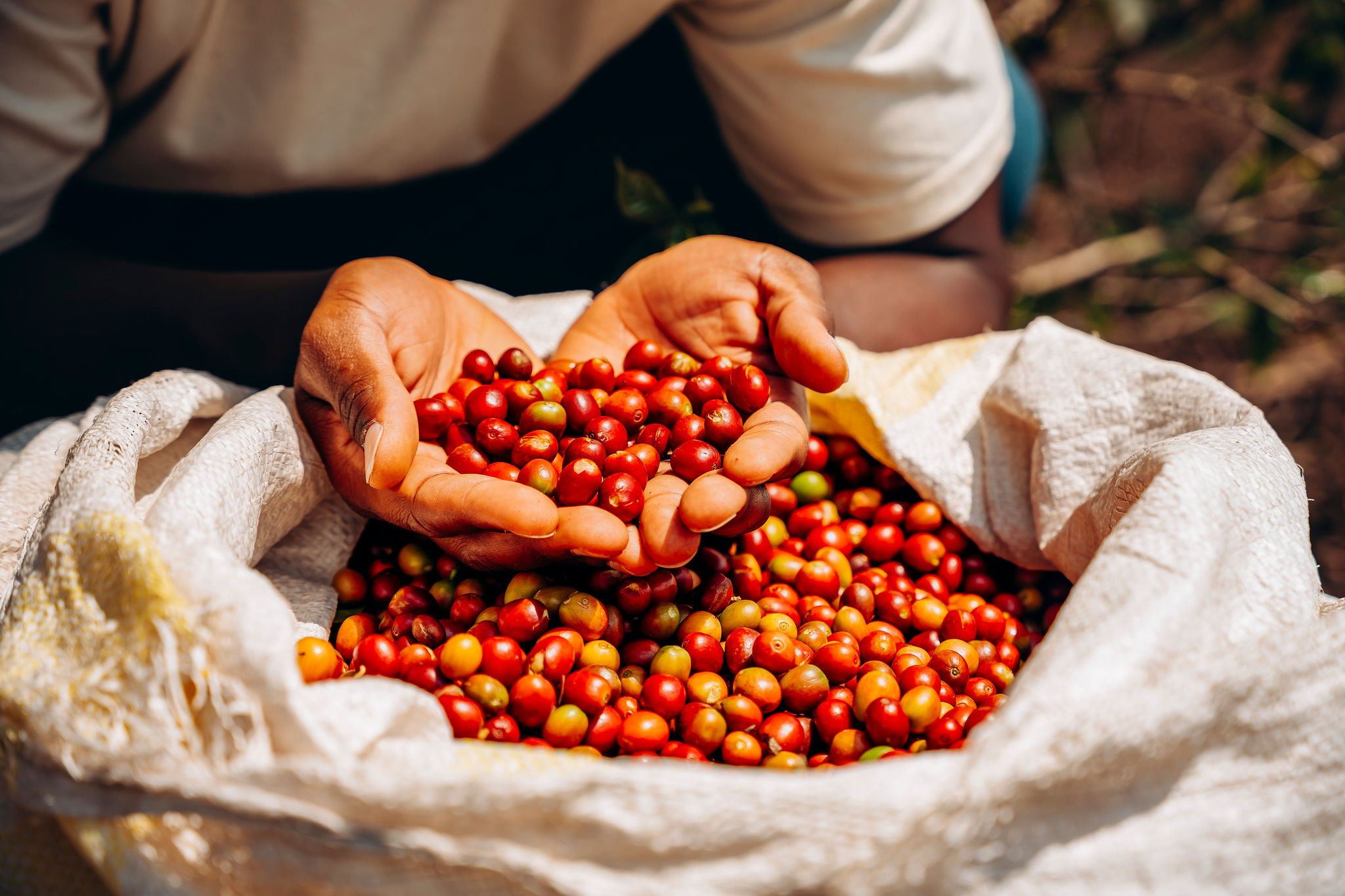 Life at YEET COFFEE washing stations in Karongi