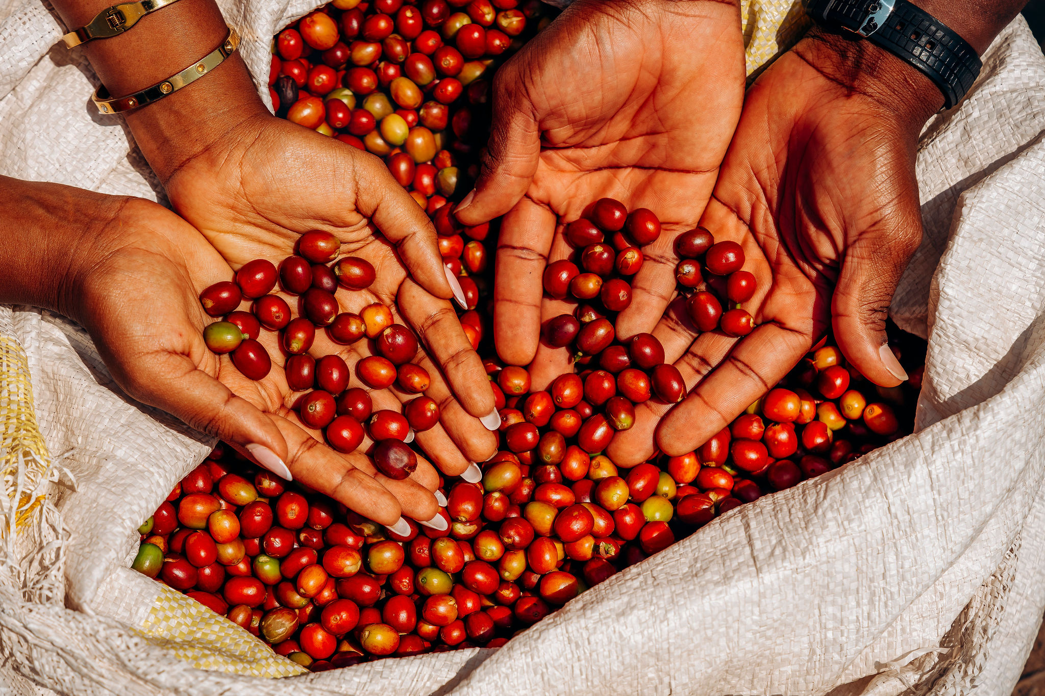 Life at YEET COFFEE washing stations in Karongi