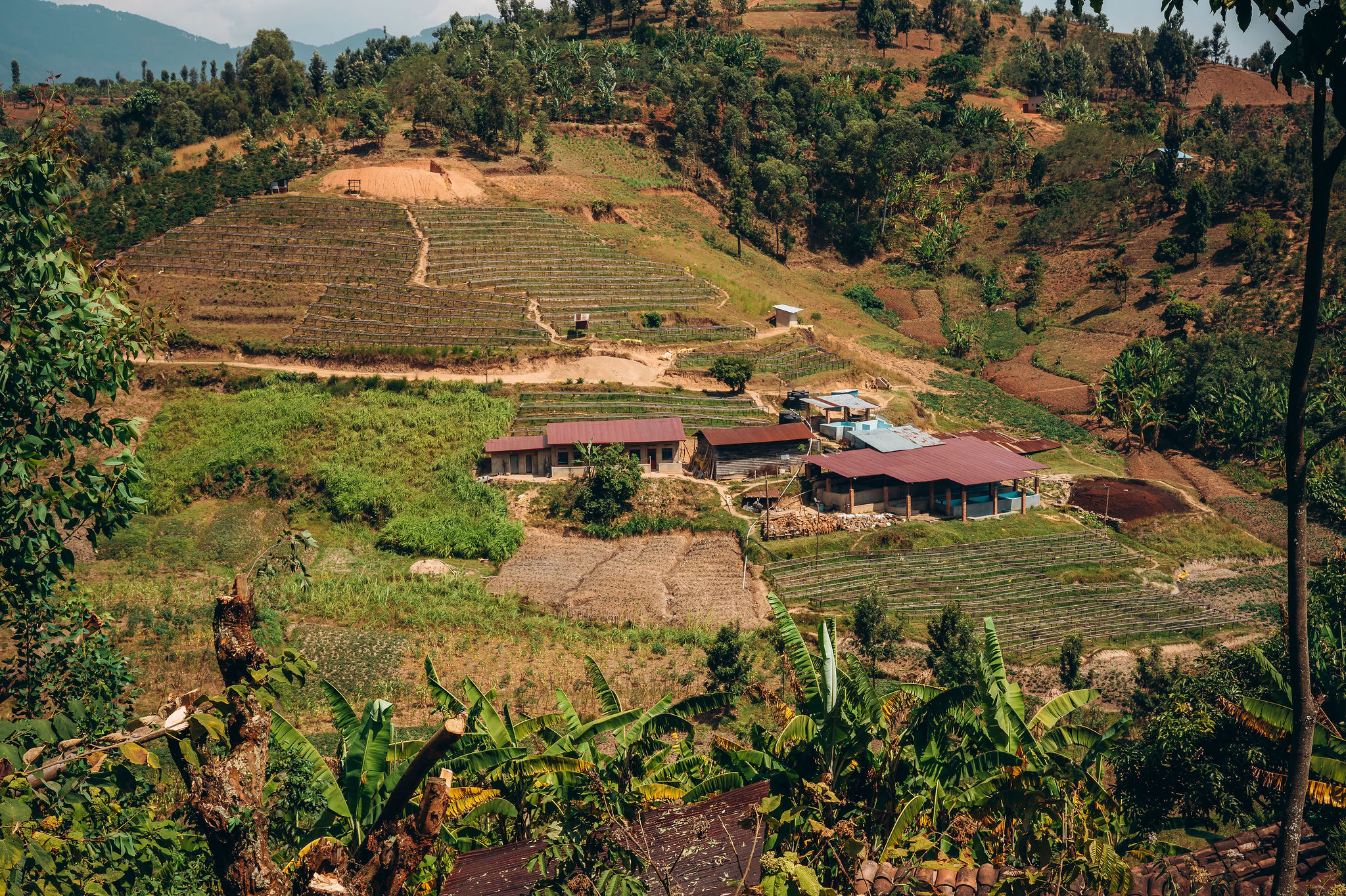 Life at YEET COFFEE washing stations in Karongi