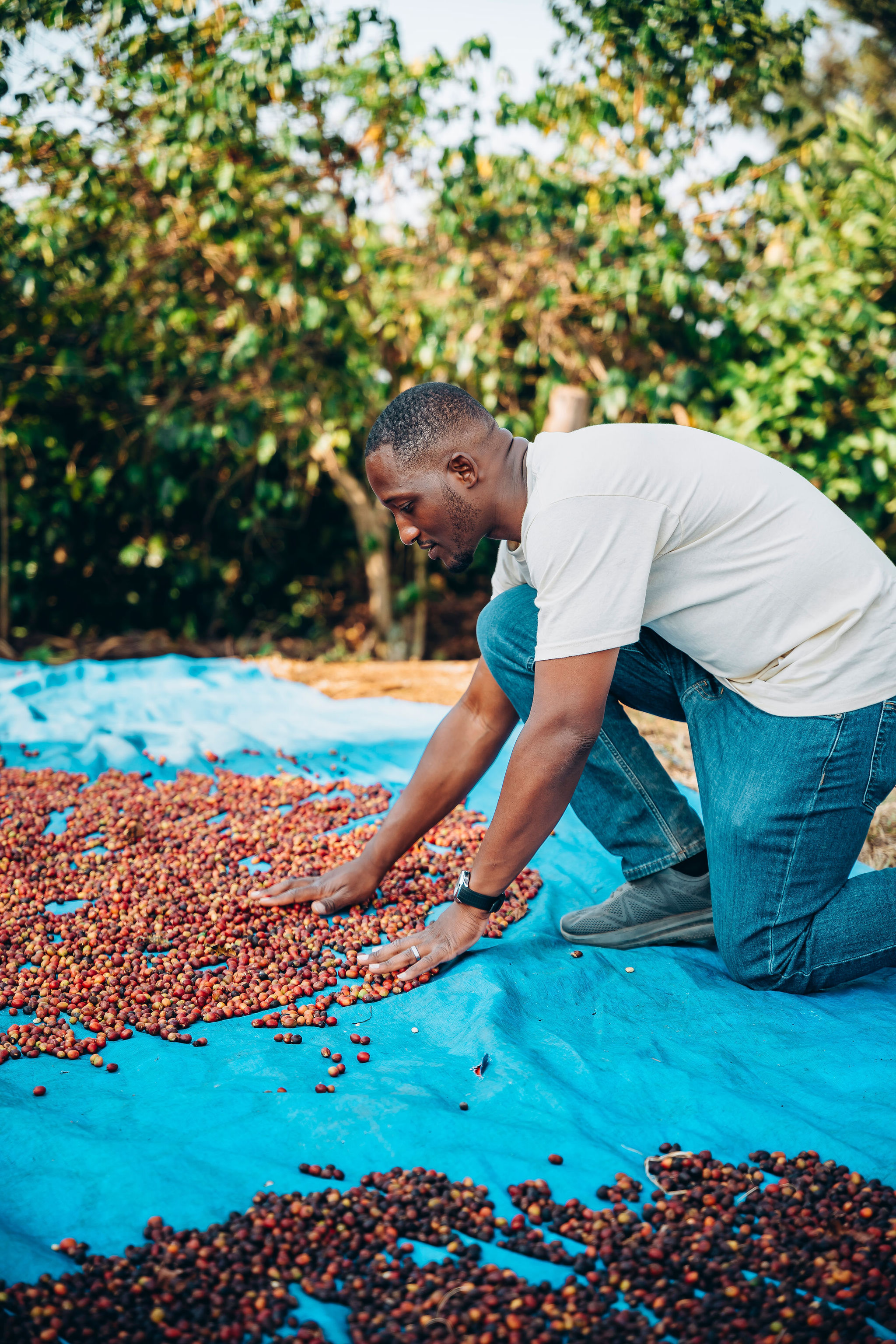 Life at YEET COFFEE washing stations in Karongi