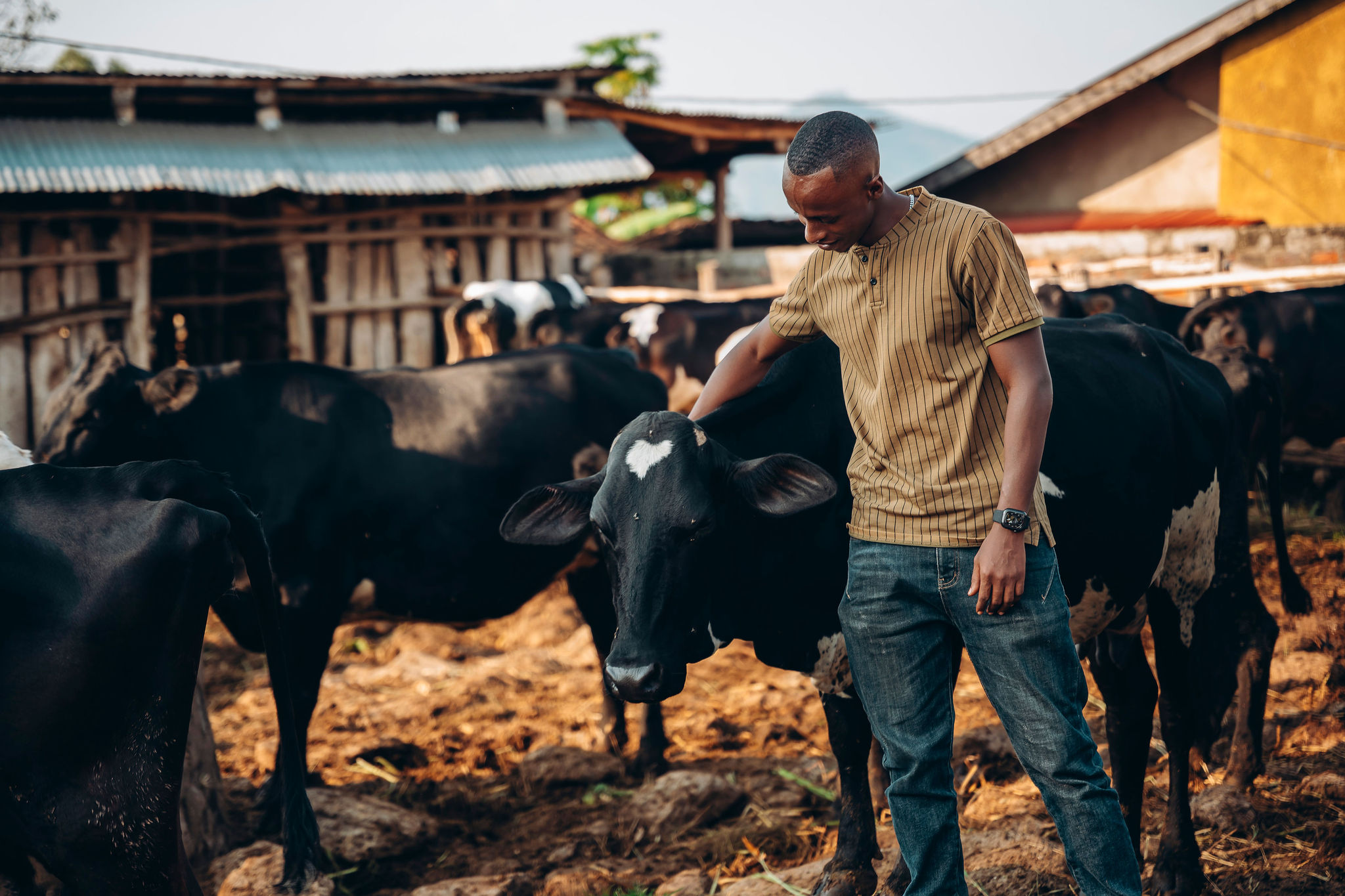 Life at YEET COFFEE washing stations in Karongi