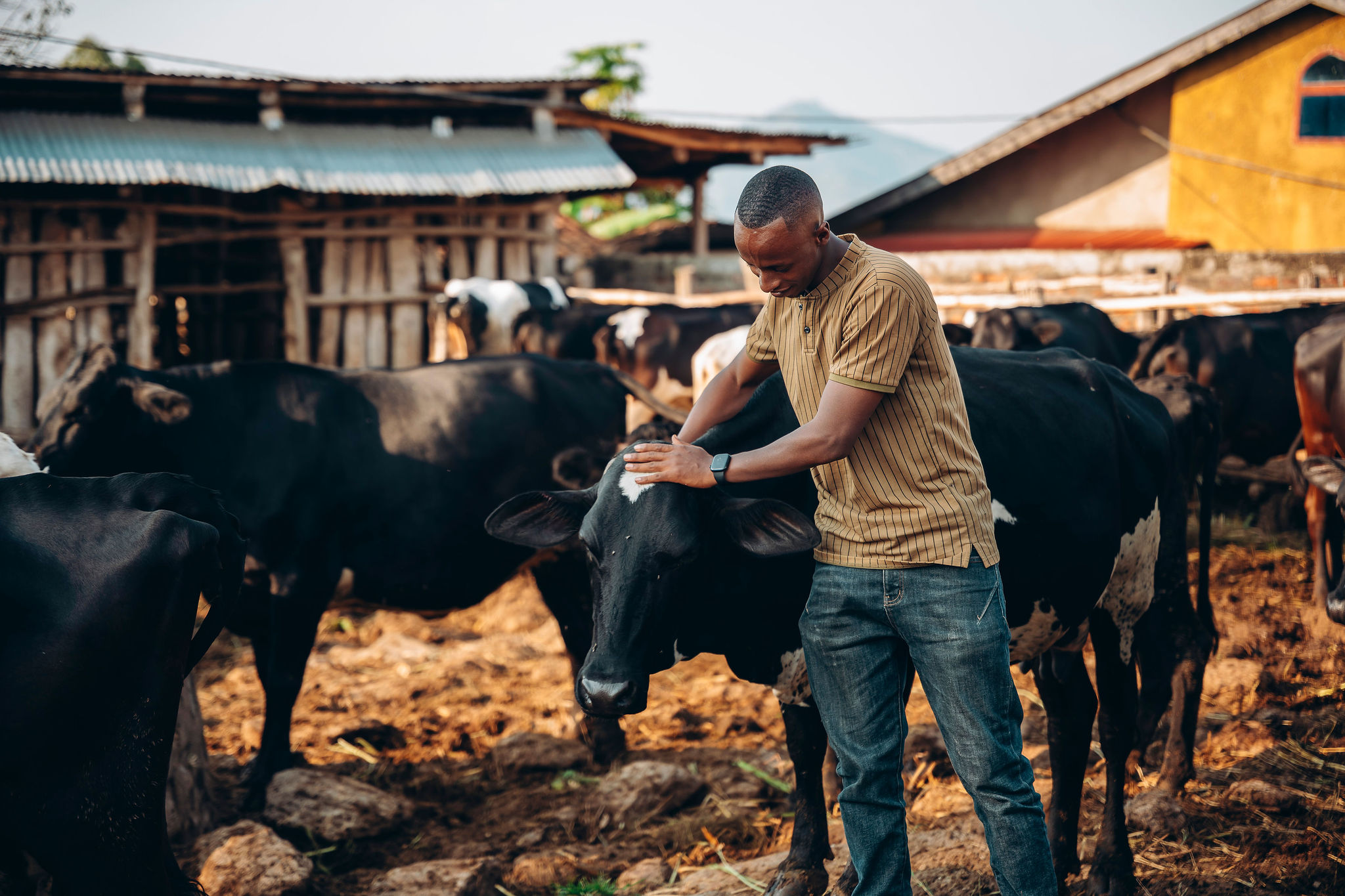 Life at YEET COFFEE washing stations in Karongi