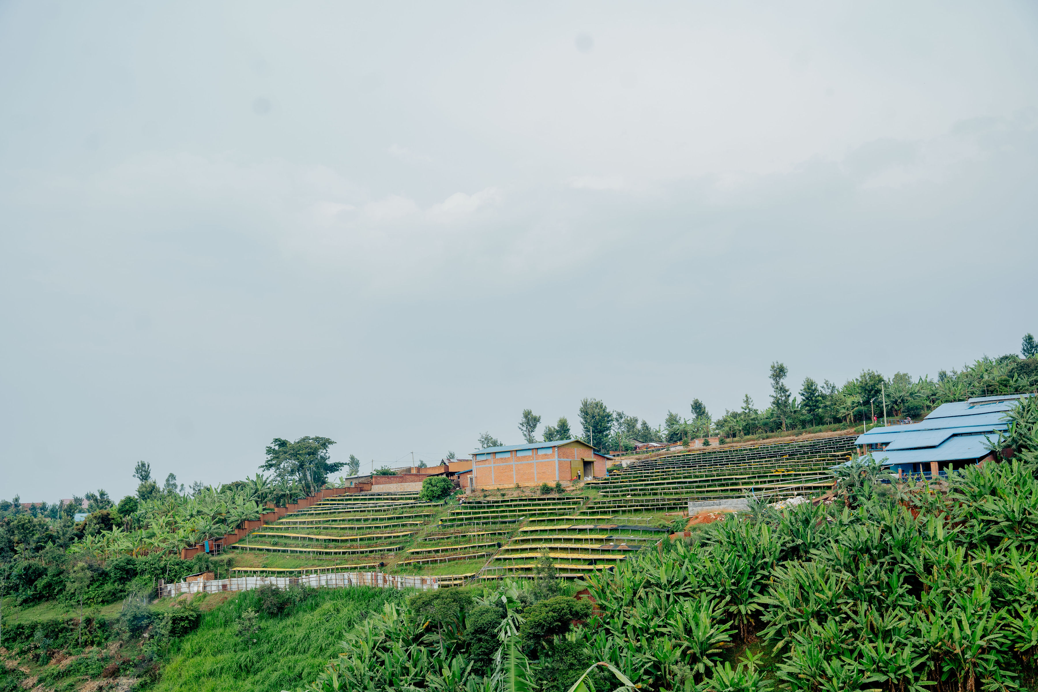 Karongi station landscape terraces